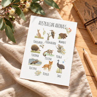 Australian Animals Postcard