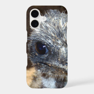Australian Baby Emu,
