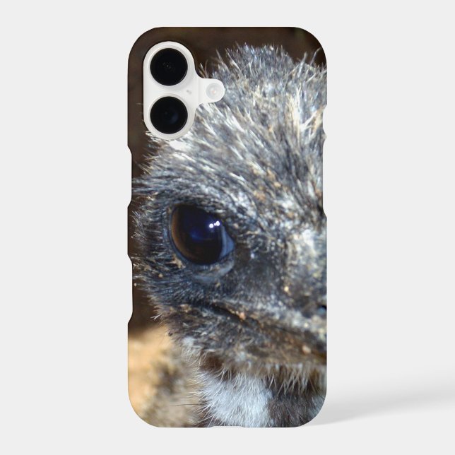Australian Baby Emu, (Back)