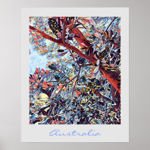 Australian Banksia tree native plant Poster