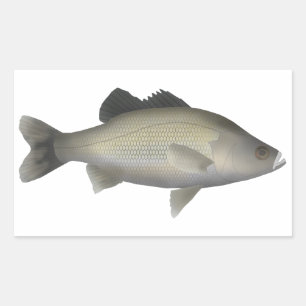Australian Bass Rectangular Sticker