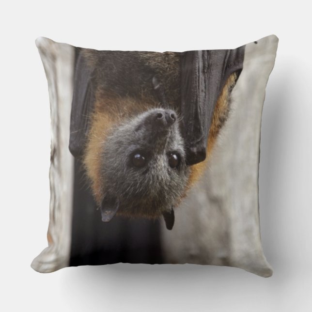 Australian Bat Cushion (Front)