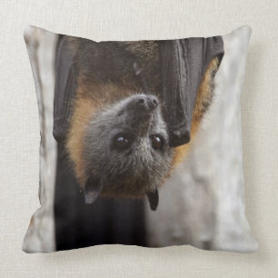 Australian Bat Cushion