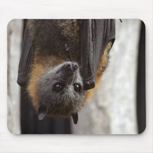 Australian Bat Mouse Pad (Front)