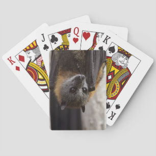 Australian Bat Playing Cards