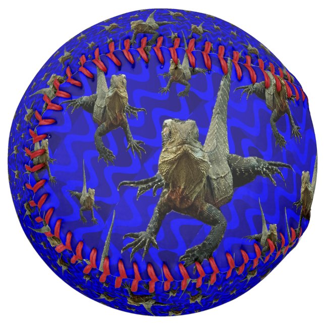 Australian Bearded Dragon Lizard, Softball (Back Right)