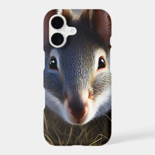Australian Bilby Alert,