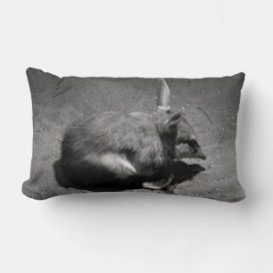 Australian Bilby, Know As The Aussie Easter Bunny, Lumbar Cushion