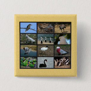 Australian Birds 15 Cm Square Badge