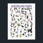 Australian Birds Chart postcard<br><div class="desc">Birds of Australia Chart</div>
