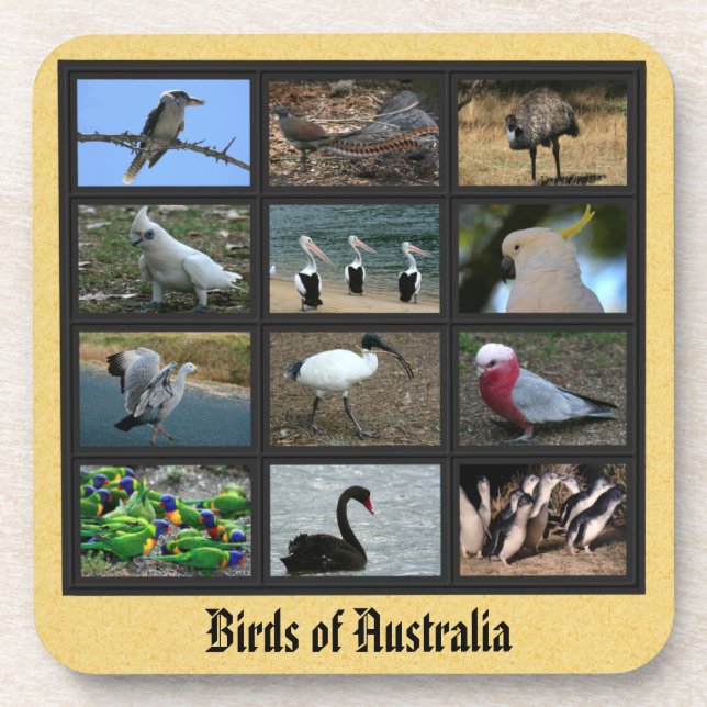Australian Birds Coaster (Front)