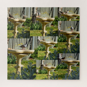 Australian Birds On A Bird Bath, Jigsaw Puzzle