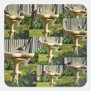 Australian Birds On A Bird Bath, Stickers