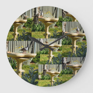 Australian Birds On Bird Bath, Wall Clock