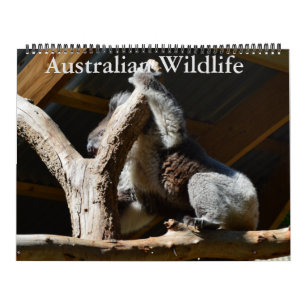 Australian Birds, Wildlife,  Calendar