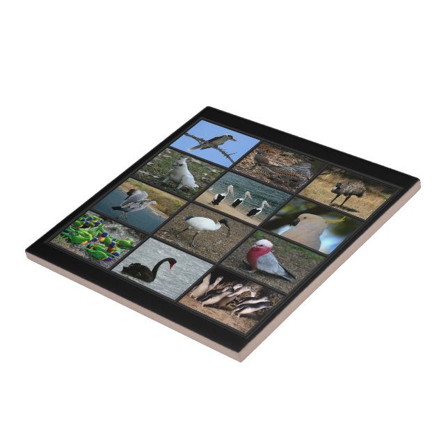 Australian Birdwatchers Collage Ceramic Tile (Side)