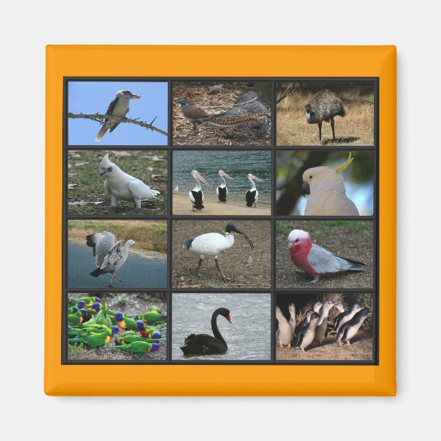 Australian Birdwatchers Collage Magnet (Front)