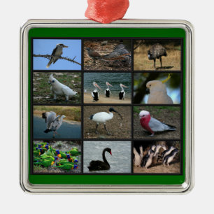 Australian Birdwatchers Collage Metal Tree Decoration