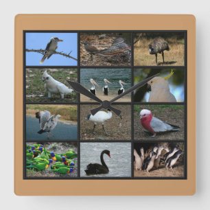 Australian Birdwatchers Collage Square Wall Clock