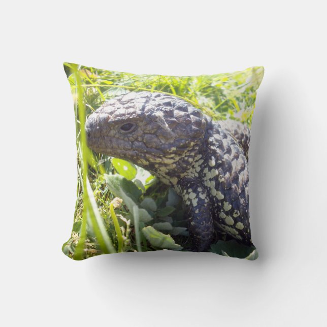 Australian Blue Tongue Lizard, Lounge Cushion. Cushion (Front)