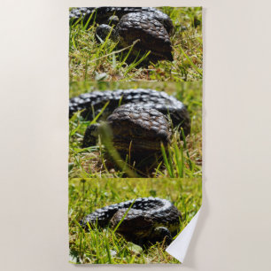Australian blue Tongue Lizards, Beach Towel