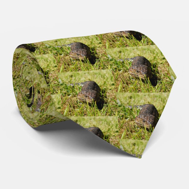 Australian Blue Tongue Stumpy Lizard Pattern, Tie (Rolled)