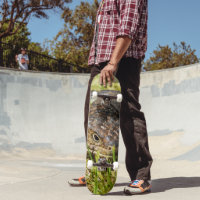 Australian Blue Tongue Stumpy Lizard, Skateboard