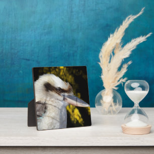 Australian Blue Winged Kookaburra, Plaque