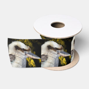 Australian Blue Winged Kookaburra, Satin Ribbon