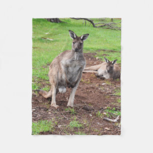 Australian Buck Kangaroo, Small Fleece Blanket. Blanket