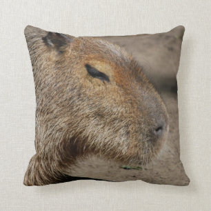Australian Capybara  Pillow