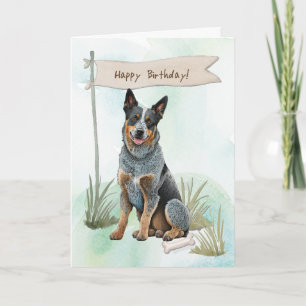 Australian Cattle Breed Dog Under Birthday Sign Card