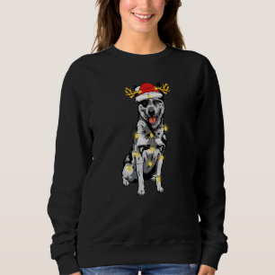 Australian Cattle Christmas Lights Xmas Matching F Sweatshirt