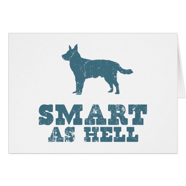 Australian Cattle Dog (Front Horizontal)