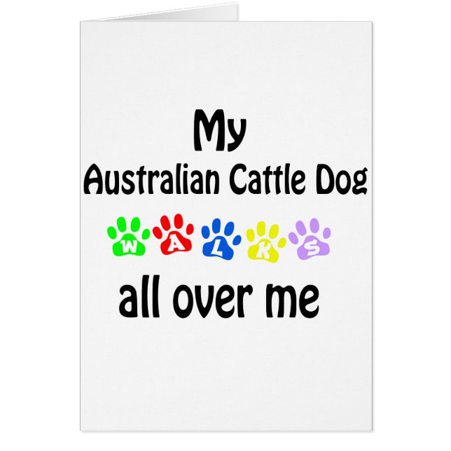 Australian Cattle Dog (Front)