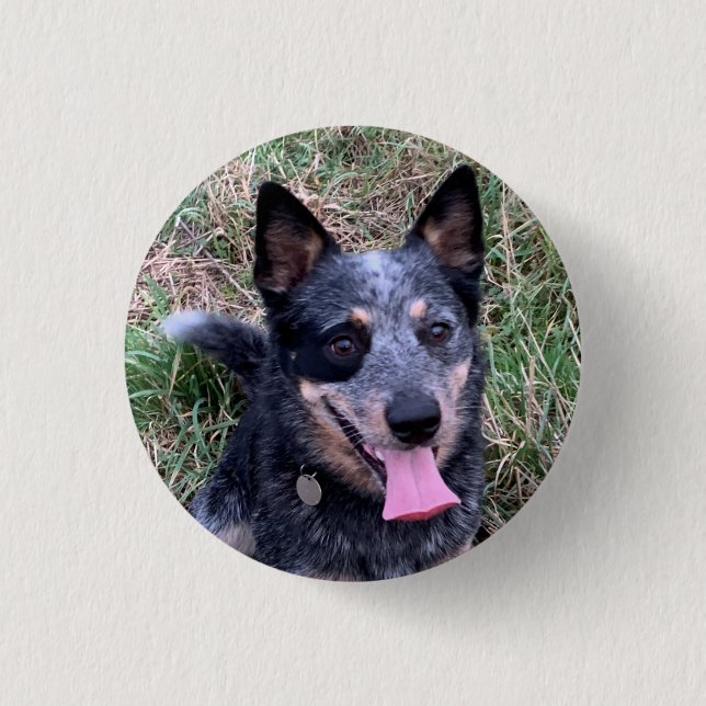 Australian Cattle Dog 3 Cm Round Badge (Front)