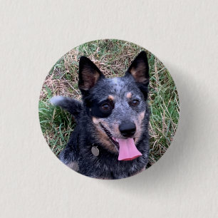 Australian Cattle Dog 3 Cm Round Badge
