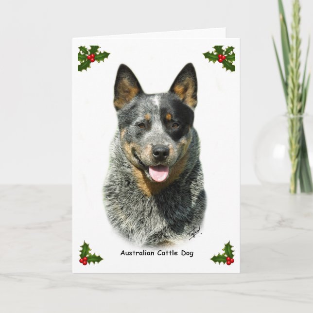 Australian Cattle Dog 9F061D-03 Holiday Card (Front)