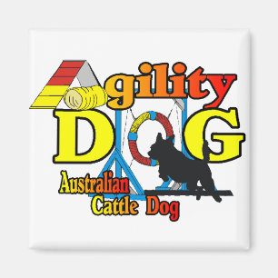 Australian Cattle Dog Agility Magnet