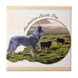 Australian Cattle Dog Art Ceramic Tile