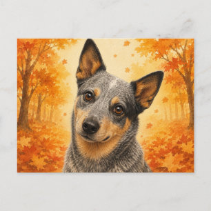 Australian Cattle Dog Autumn Forest Dog Postcard