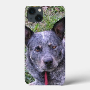 Australian_cattle_dog blue.png iPhone 13 case