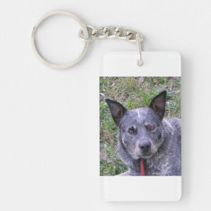 Australian_cattle_dog blue.png key ring