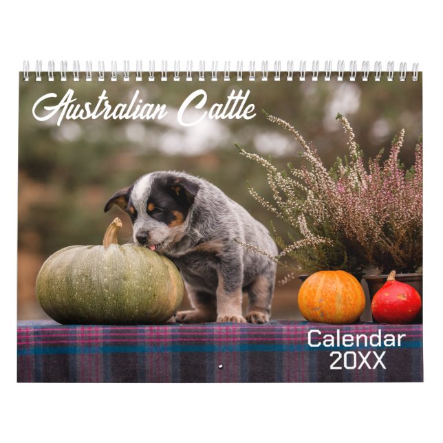 Australian Cattle Dog Calendar 2026 (Cover)