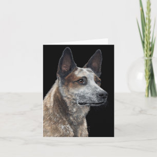 Australian Cattle Dog Card - "Jack"