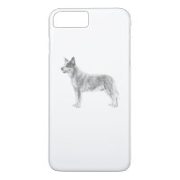 Australian Cattle Dog