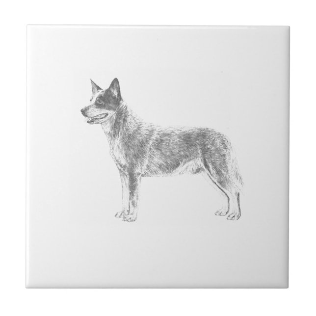 Australian Cattle Dog Ceramic Tile (Front)