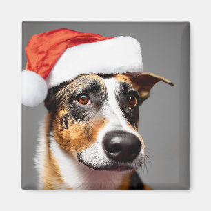 Australian Cattle Dog Christmas Magnet