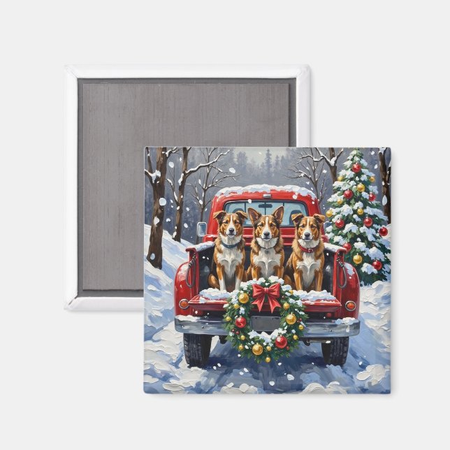 Australian Cattle Dog Christmas Red Truck Holiday Magnet (Front/Back)