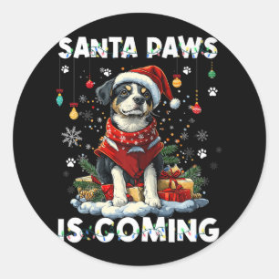 Australian Cattle Dog Christmas Tree Decorations D Classic Round Sticker